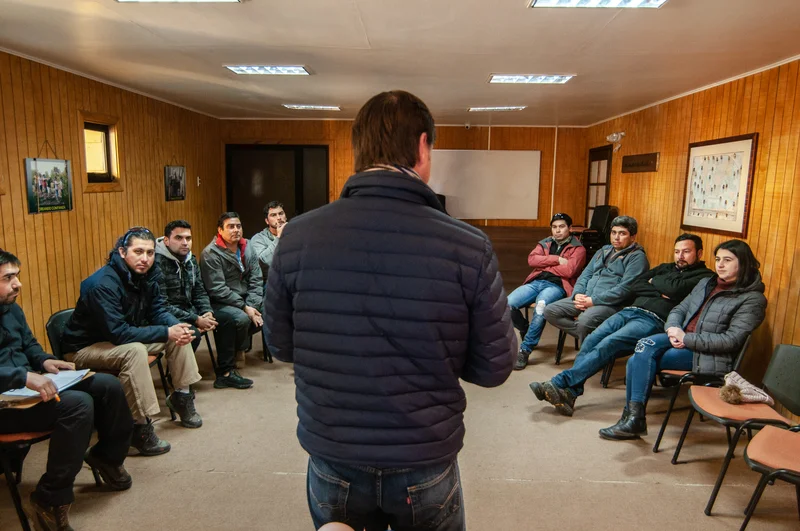 Coaching Organizacional